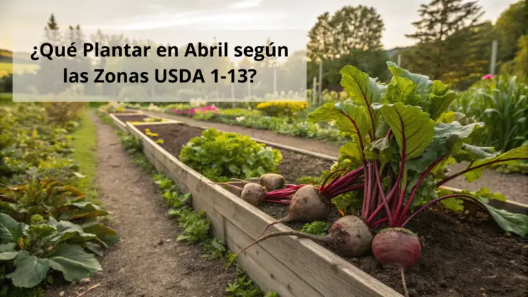 ¿Qué Plantar en Abril según las Zonas USDA 1-13?