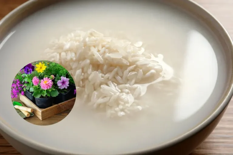 15 consejos sorprendentes para un jardín más saludable y floreciente