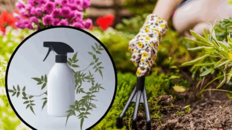 HERBICIDA NATURAL: MANTÉN TU JARDÍN LIBRE DE MALEZAS SIN QUÍMICOS