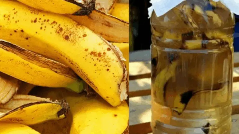 ¡Deja de tirar las cáscaras de banana! Descubre cómo transformar un simple desperdicio en un tesoro natural