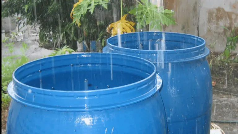Recogida de Agua de Lluvia: Ahorra y Protege el Planeta 🌎💧