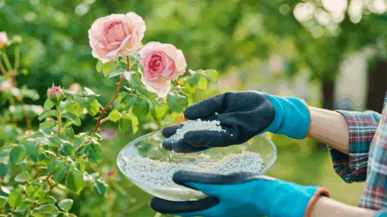 PROTECCIÓN NATURAL PARA TUS ROSAS Y FLORES: LA MAGIA DEL BICARBONATO DE SODAG
