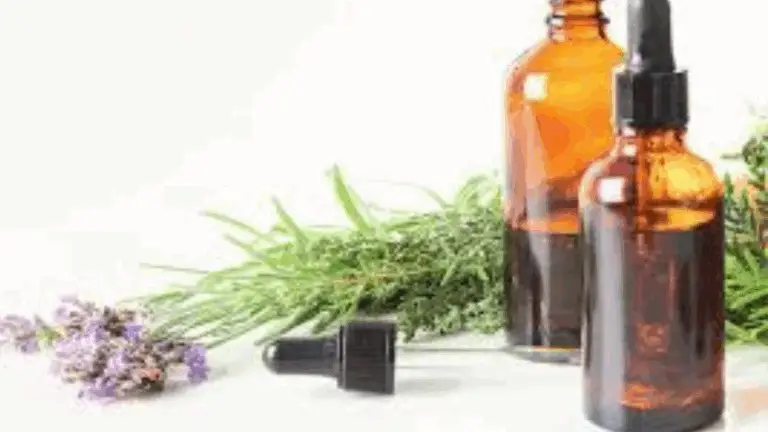 CÓMO LAS OLOROSAS NATURALES PUEDEN TRANSFORMAR TU VIDA: DESCUBRE EL MUNDO DE LAS ACEITES ESENCIALES