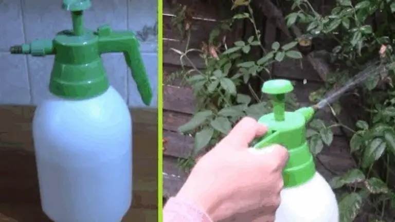 Las víctimas silenciosas de la “control de plagas” con insecticidas