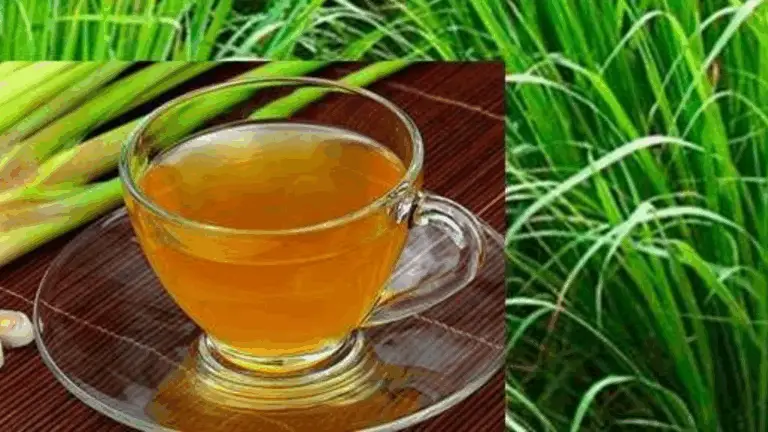 Cómo preparar té de citronella: una infusión aromática y relajante 🌿🍋