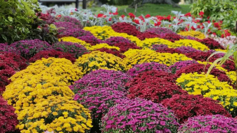 PLANTAS DE JARDÍN QUE TRANSFORMARÁN TU ESPACIO EXTERIOR EN UN PARAÍSO DE COLOR Y VIDA