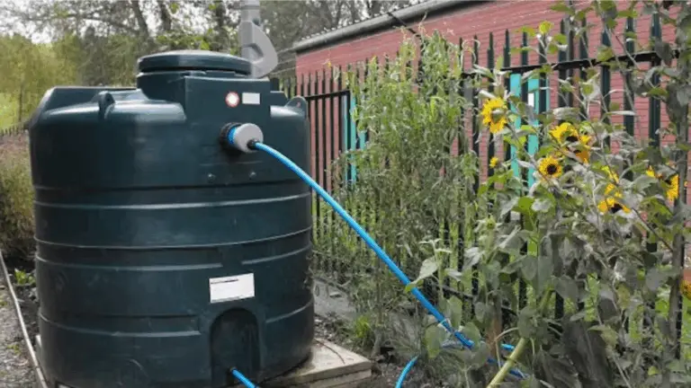 EL PODER DE RECICLAR EL AGUA DE LLUVIA: UNA DECISIÓN QUE TRANSFORMÓ NUESTRO JARDÍN