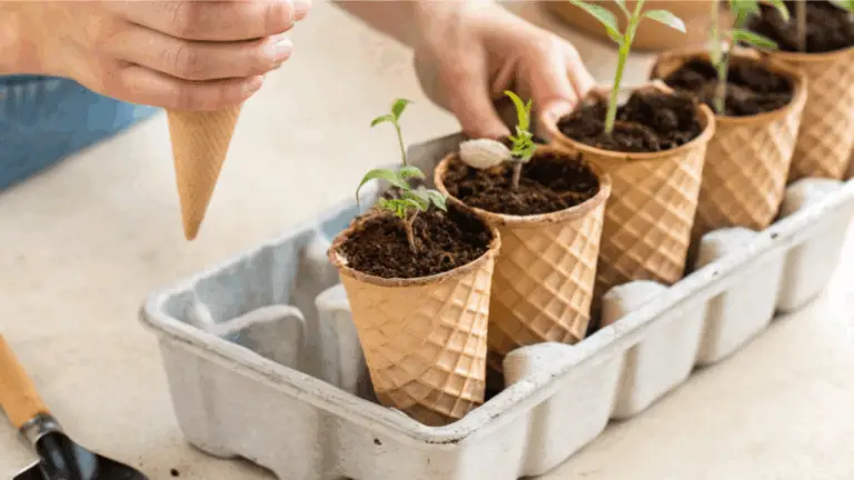 ¡Transforma tu jardinería con esta idea divertida y ecológica! 🌱🍦