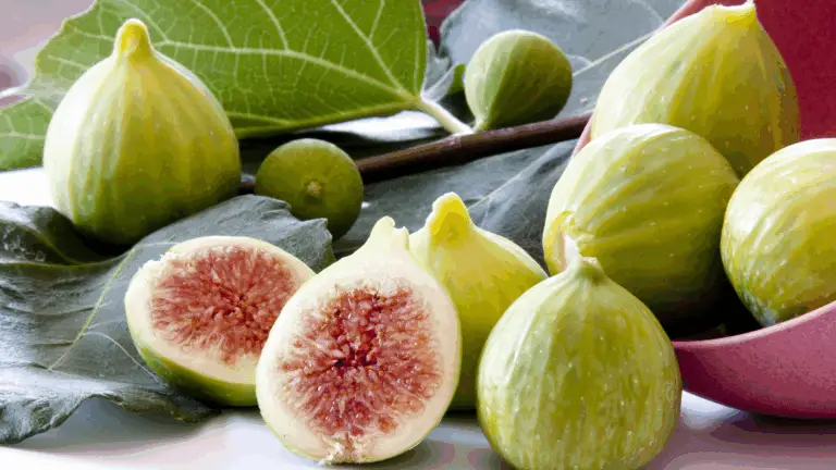 ¿Sabías que los Higos NO SON Simplemente Frutas? La Fascinante Ciencia Detrás de Este Fruto Inusual