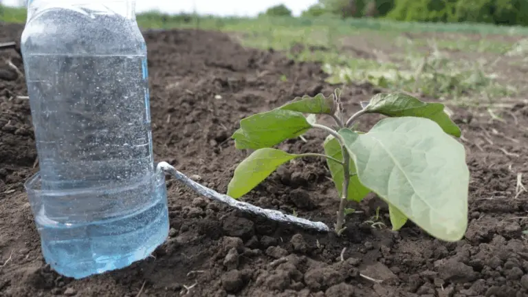 EL SISTEMA MÁS SENCILLO PARA RIEGAR TUS PLANTAS USANDO BOTELLAS DE PLÁSTICO