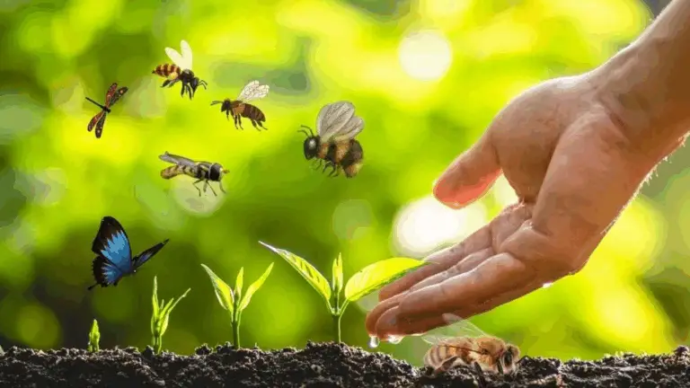 DEJA QUE LOS POLLINIZADORES PROSPEREN: SALTA EL SPRAY Y CUIDA A LAS ABEJAS