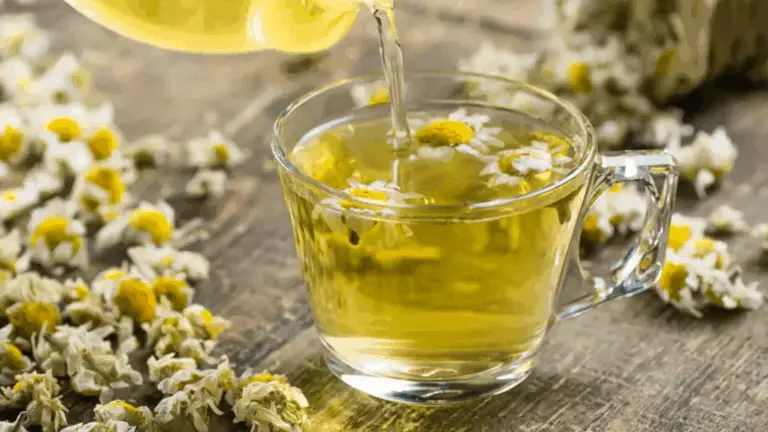 6 Hierbas Naturales Que Mejoran Tu Salud