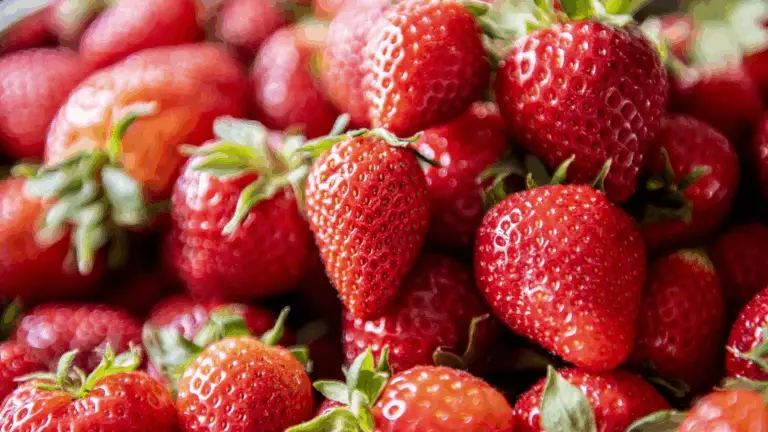 EN MAYO: EL GRAN ZOOM DE LAS FRUTAS Y VERDURAS DE PRIMAVERA Y VERANO