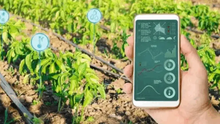 Sistemas de Riego Inteligente: La Revolución en la Gestión del Agua para el Jardín