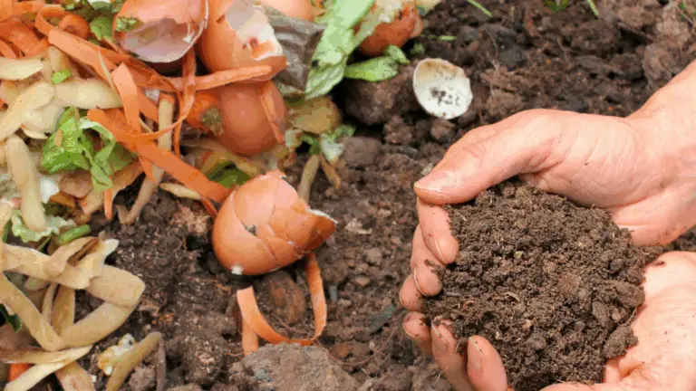 Compostaje y Reciclaje de Residuos Verdes: Nutrir la Tierra de Forma Natural