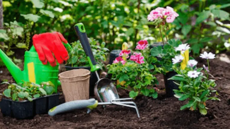Mejores Consejos de Jardinería de Todos los Tiempos 🌿✨