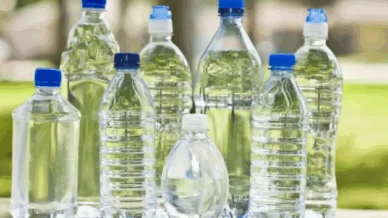 Recicla botellas de plástico para crear un colorido arriate elevado 🌸♻️