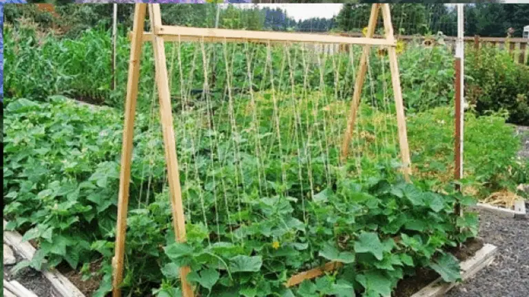 ¡No dejes que tu jardín quede en el suelo! 🚫