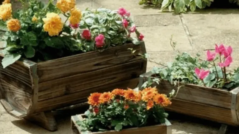 DECORACIÓN CON MACETAS RECICLADAS: CREA MINI JARDINES ÚNICOS Y SOSTENIBLES