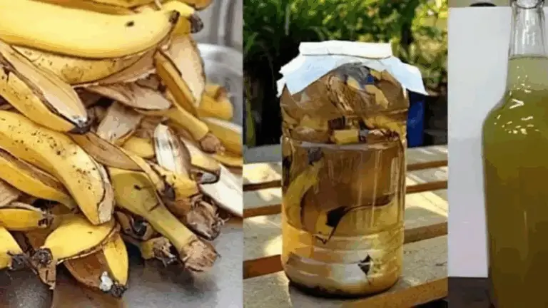 CÁSCARAS DE PLÁTANO EN UNA BOTELLA: UN FERTILIZANTE CASERO QUE NUNCA MÁS QUERRÁS TIRAR