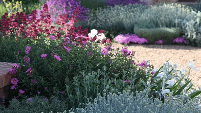 JARDINES DURADEROS Y RESISTENTES A LA SEQUÍA