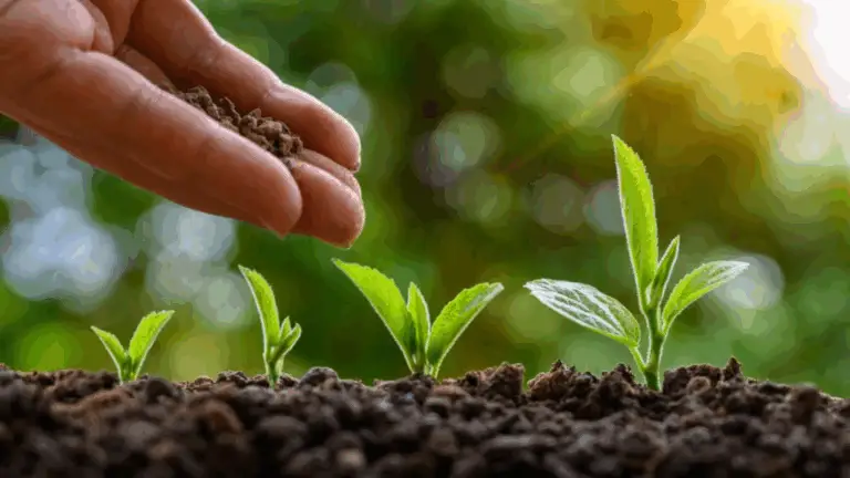 GUÍA COMPLETA PARA HACER FLORECER CUALQUIER PLANTA DE INTERIOR CON UN ABONO NATURAL