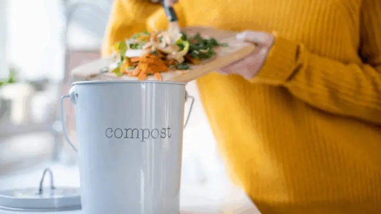 CÓMO HACER FERTILIZANTE LÍQUIDO EN CASA: GUÍA PASO A PASO