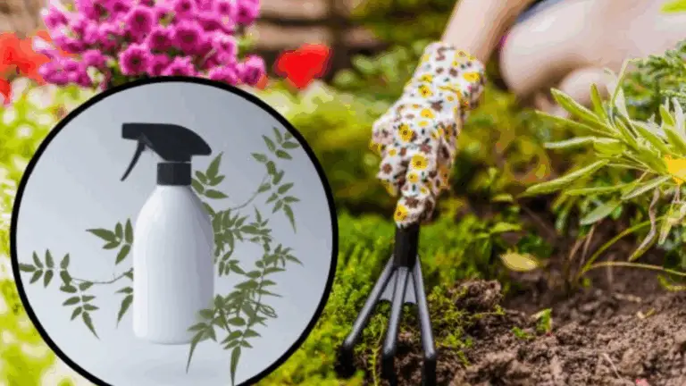 Herbicida Natural: Mantén Tu Jardín Libre de Malezas sin Químicos