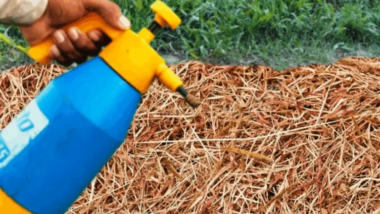 Tajador de Malezas Casero: Una Solución Natural, Sencilla y Potente