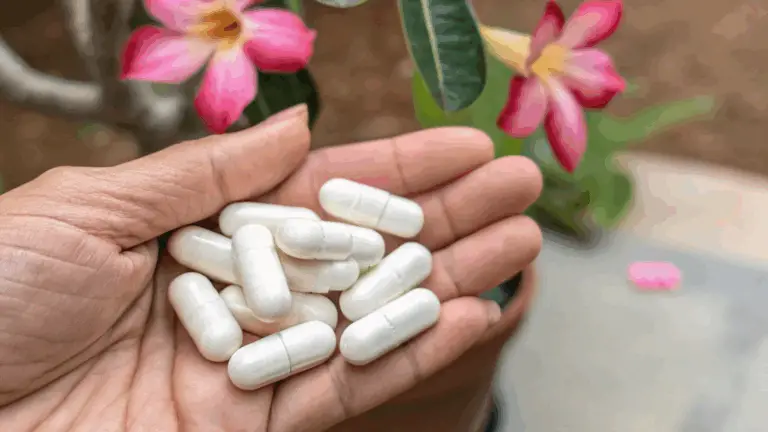 Esta Píldora Revolucionaria Transformará Tus Flores en el Jardín y en el Balcón