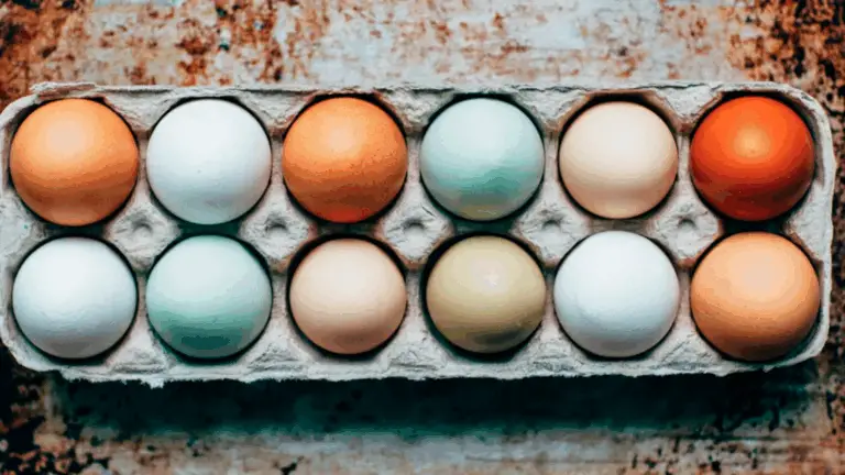 Diversidad de colores en los huevos de gallina: un mundo lleno de tonalidades fascinantes