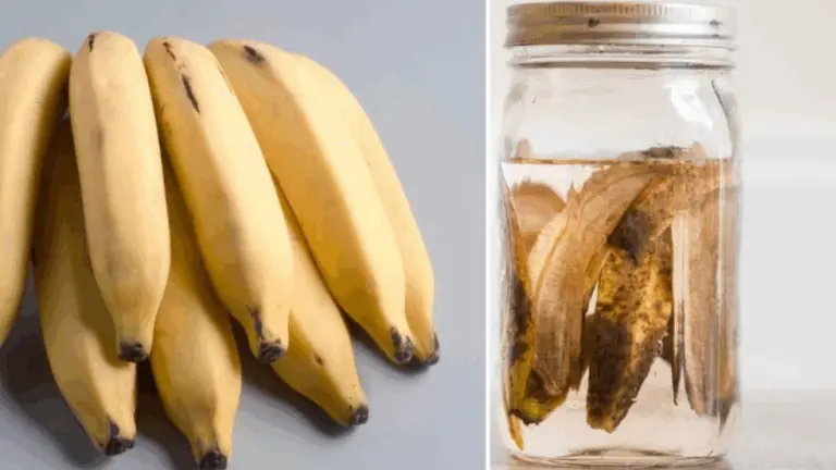 NO LO TIRES MÁS SI QUIERES QUE TUS VECINOS MUERAN DE ENVIDIA: FLORES Y PLANTAS EXUBERANTES