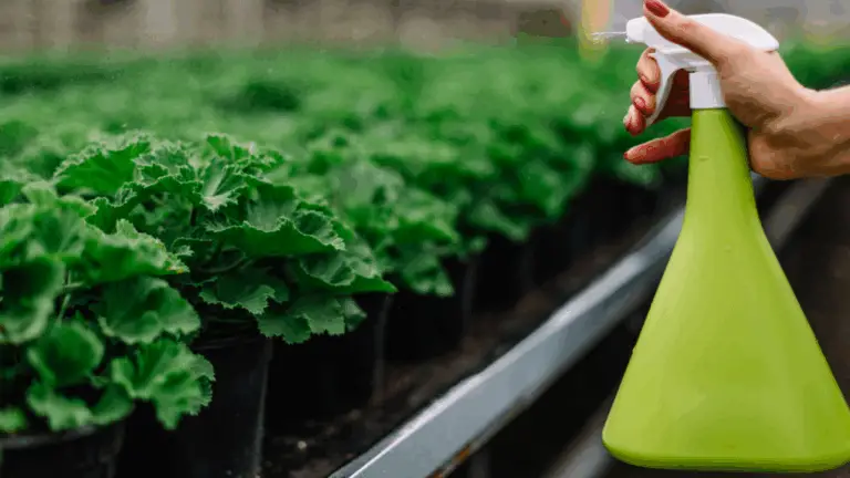 EL FUNGICIDA E INSECTICIDA MÁS POTENTE DEL MUNDO: 100 % NATURAL Y SIN QUÍMICOS