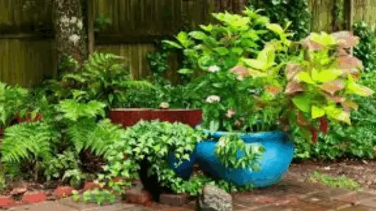 PLANTAS DE JARDÍN RESISTENTES: LA GUÍA DEFINITIVA PARA UN VERDE FÁCIL Y BONITO