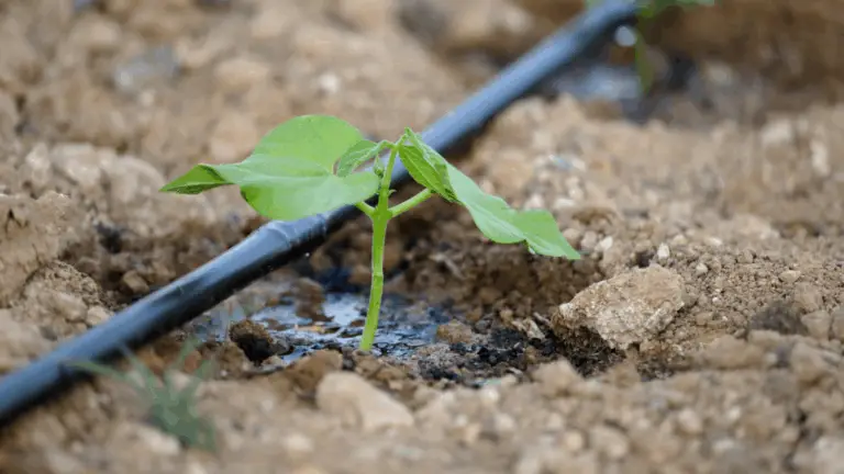 Cómo instalar sistemas de riego por goteo y recolectores de agua para tu jardín
