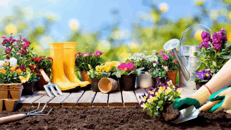 20 MEJORES CONSEJOS DE JARDINERÍA DE TODOS LOS TIEMPOS