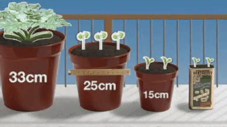 Elegir el tamaño correcto de la maceta para tus plantas es una decisión clave que puede transformar completamente el éxito de tu jardín o huerto en casa.