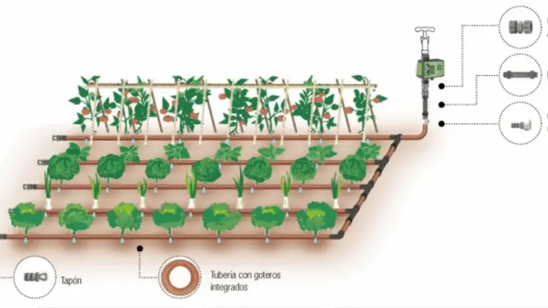 ESQUEMA BÁSICO DE UN SISTEMA DE RIEGO POR GOTEODESCRIPCIÓN DETALLADA Y CUIDADOS ESSENCIALES