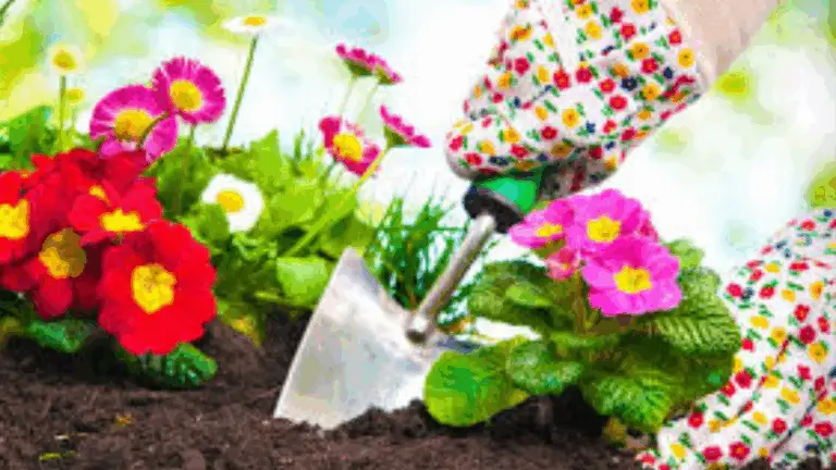Primavera en Marcha: Cómo comenzar a plantar cultivos y flores de temporada fría 🌸✨