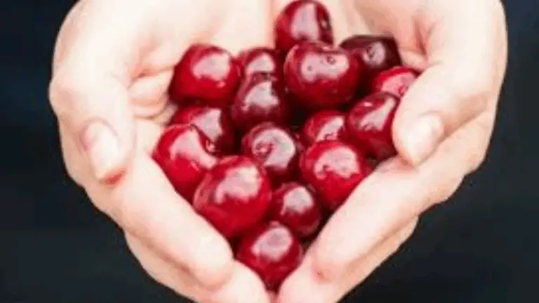 CULTIVAR CEREZAS EN CASA: BELLEZA Y SABOR EN UN SOLO ÁRBOL