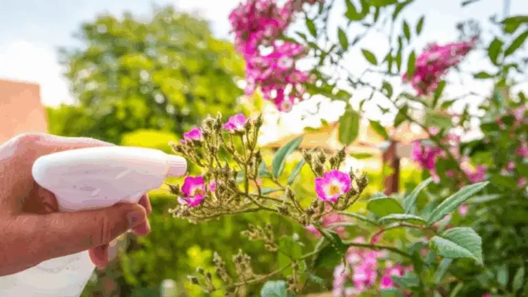 CÓMO HACER UN ANTIPLAGAS NATURAL: PRUEBA EL TRUCO DEL BICARBONATO DE SODIO