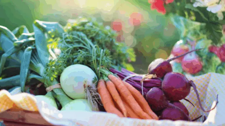 LOS NUTRIMENTOS ESENCIALES Y SUS FUENTES NATURALES: TU GUÍA COMPLETA PARA UNA VIDA SALUDABLE