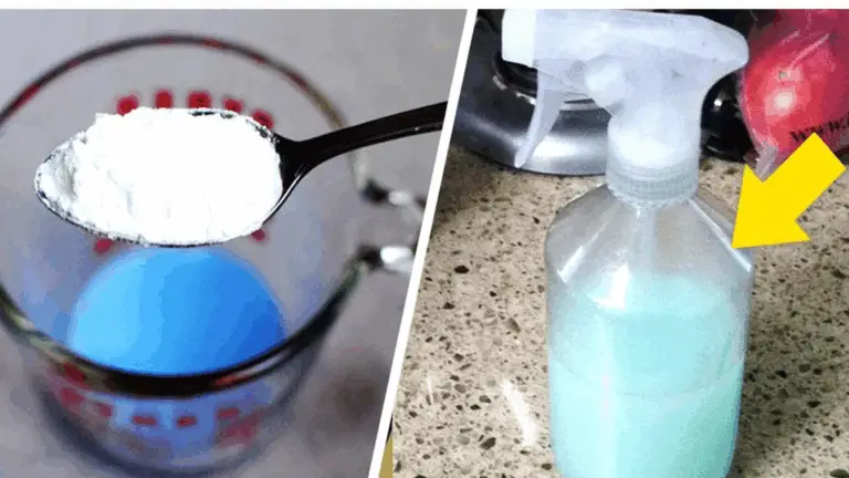 El secreto casero para tener tu casa limpia, perfumada y sin insectos