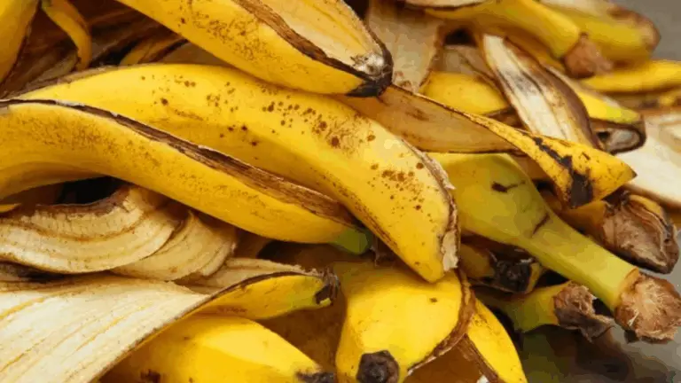 12 fertilizantes caseros fáciles para plantas 🌱✨