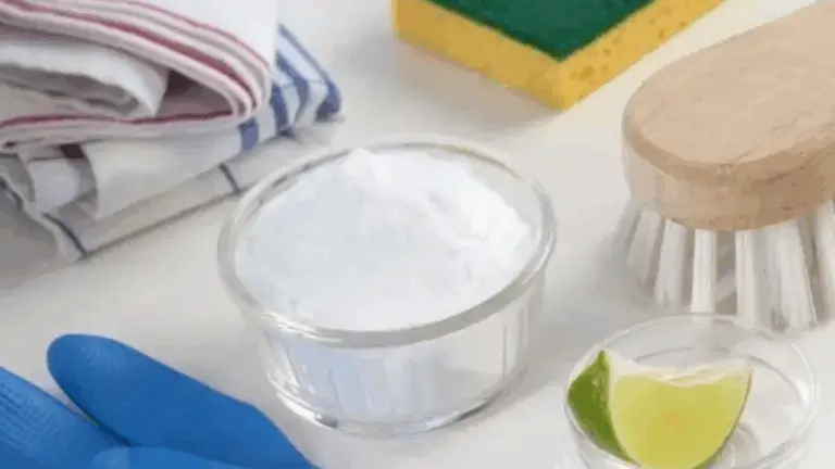 Mezcla casera para eliminar olores indeseados en tu hogar 🌬️✨