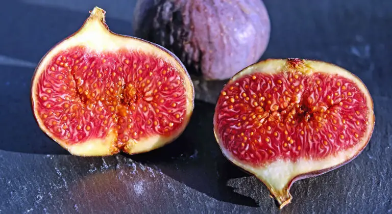 Variedades de Higos (Ficus carica)