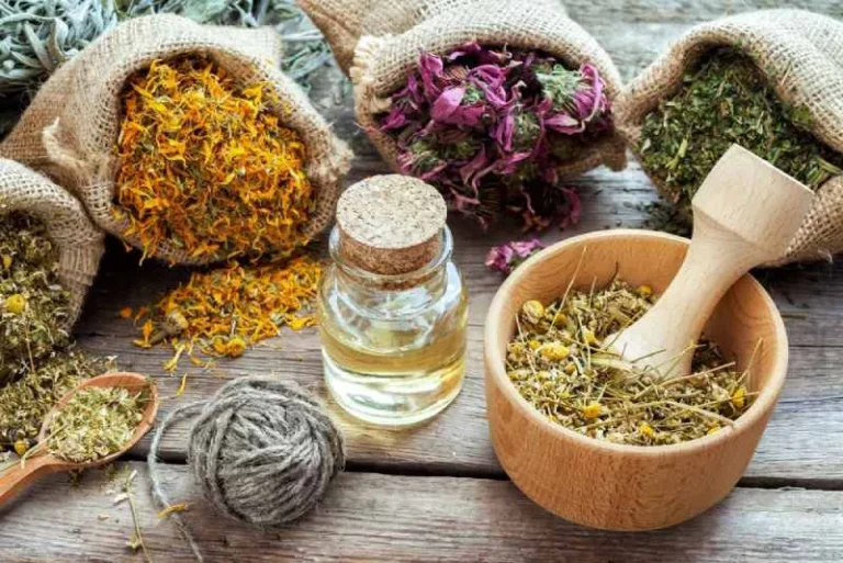 6 Hierbas Naturales que Apoyan tu Salud 🌿: Remedios Herbales para el Bienestar