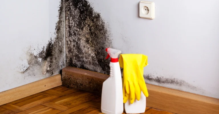 Elimina el Moho de tus Paredes con esta Mezcla Casera Milagrosa