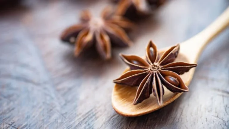 🌟 Cómo Cultivar Anís Estrellado en Maceta – ¡Especias Exóticas en Casa!