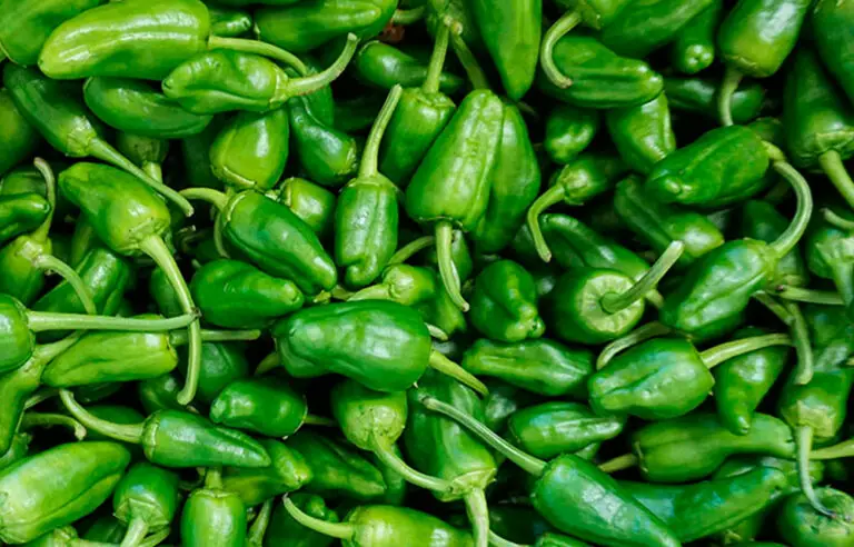 ¡Nunca plantes pimientos sin esto! Revoluciona tu cosecha con la magia de la banana